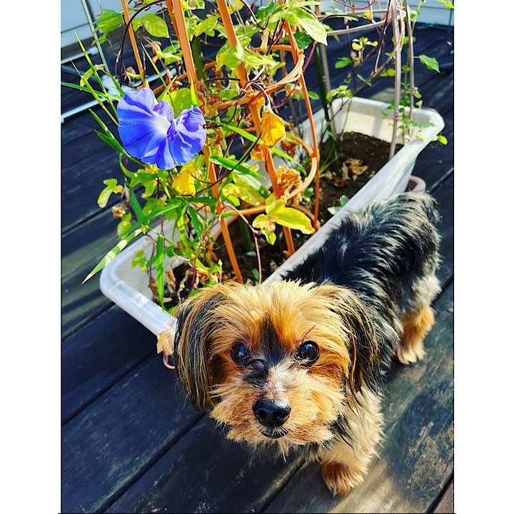 Aa08be90 fb6a 409d 9c65 0de046995d36 1693691309363