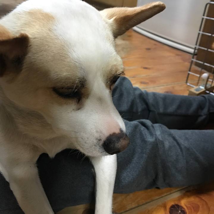 Aa08c2d9 4b8d 420d 98db 18a84cdcb341 1520598330264