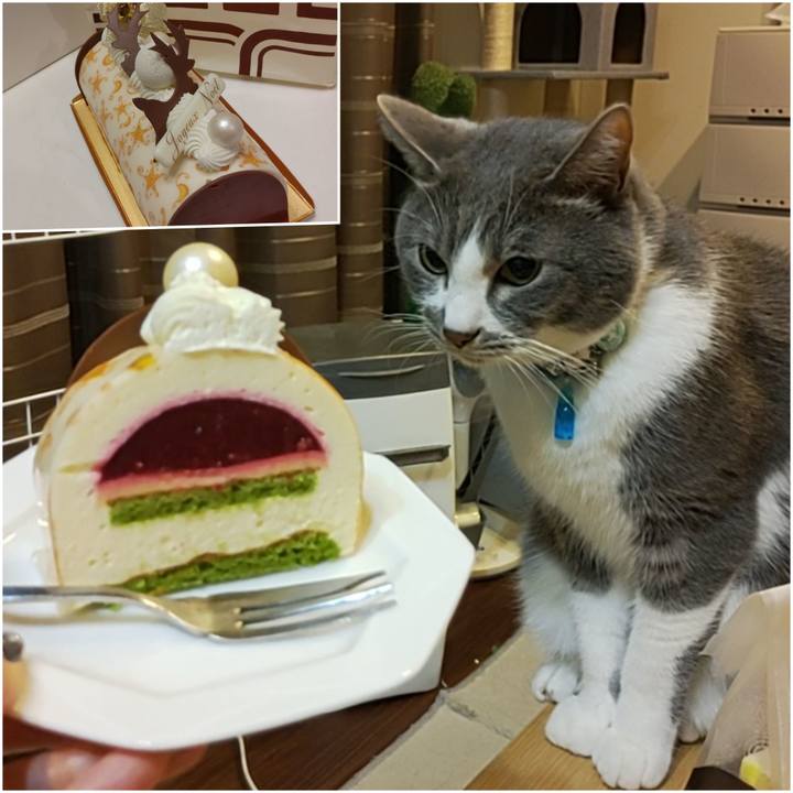 Aa08d4d3 c92f 448b 9677 43b38163341b 1671798316684