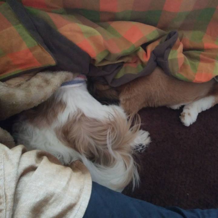 Aa08d835 02a9 463d b860 29ef7fbd04d2 1540249167006