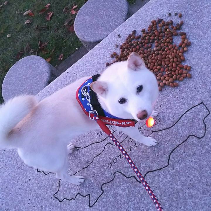 Aa093c19 0e3f 4aef 9792 39b474cad309 1572857658556