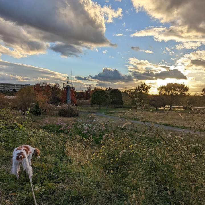 Aa097bc0 909f 4de8 acc5 8c42d8199677 1638000905507