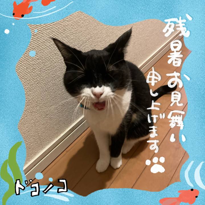 Aa098c74 bd10 473e aa32 58ca63d801d9 1723338941178