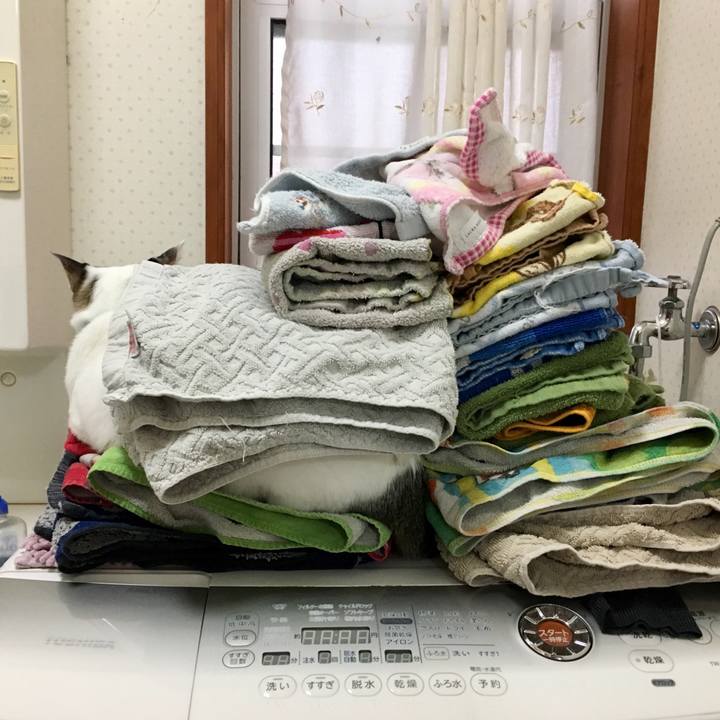 Aa099e93 457e 4f0b 99b1 ba08eb61ce71 1520401359346