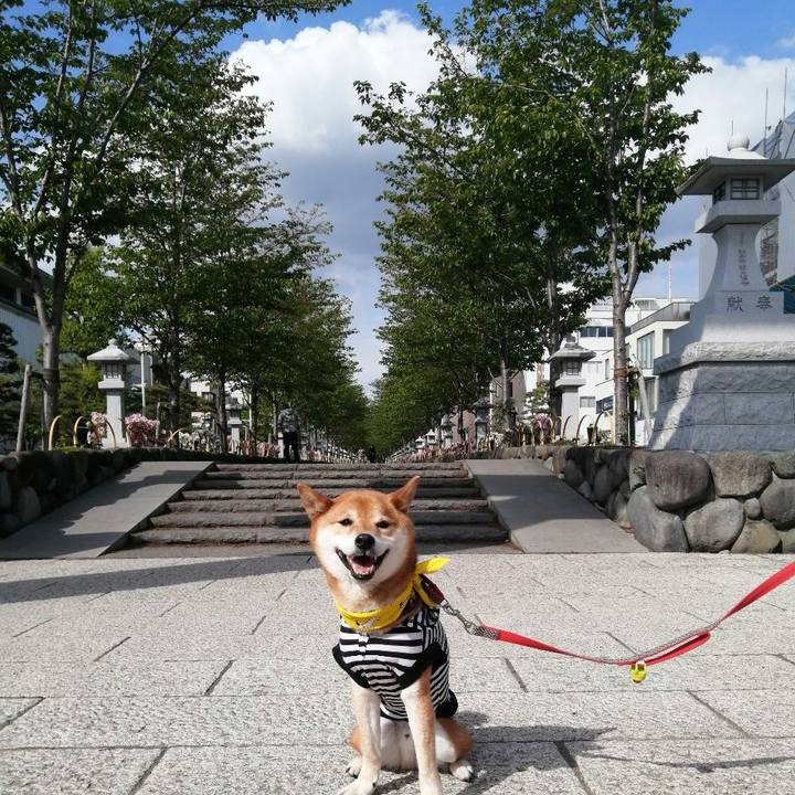 Aa09fbdf df72 4f3a bdb9 2234630771f0 1618576056637