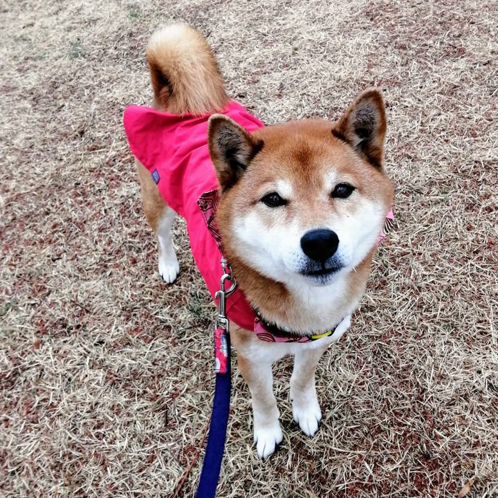 Aa0a2302 9b83 461e 88cf 4e95b819d516 1615162237323