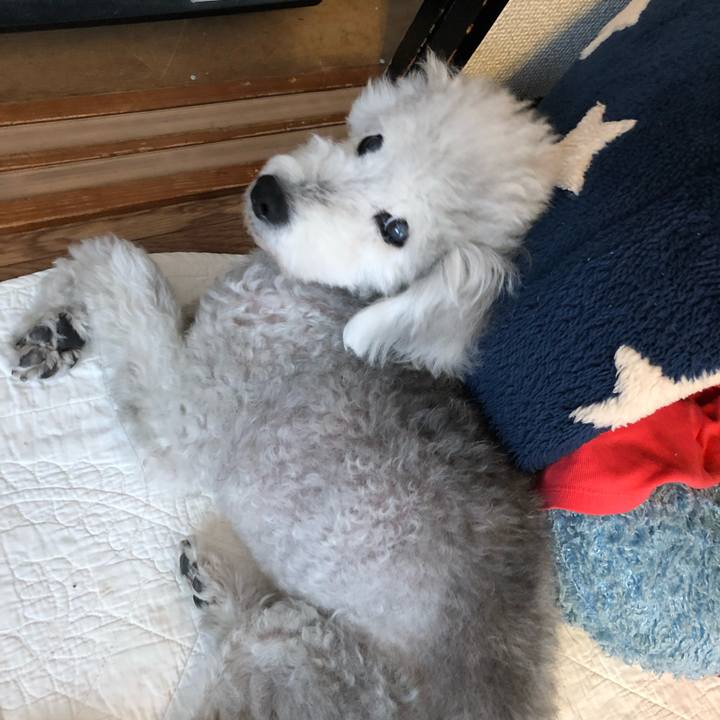 Aa0a3847 0ef9 4409 a1bf f0a128311b53 1628052435922