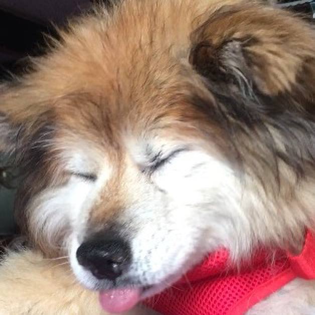 Aa0a54d6 708d 49da 9898 889f5b4b7990 1606929212257