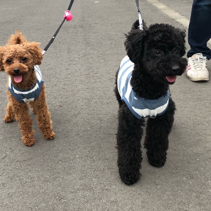 Aa0a561b 3142 4f67 9fc8 87ea1f60ff45 1525645775268