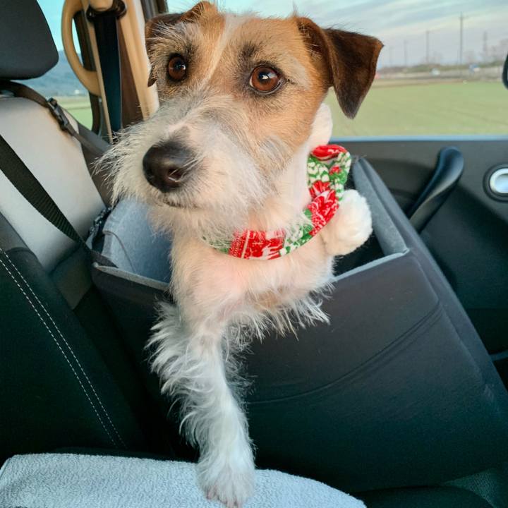 Aa0a7730 7dc9 428e 83a4 4bae7147ca9a 1612514671936