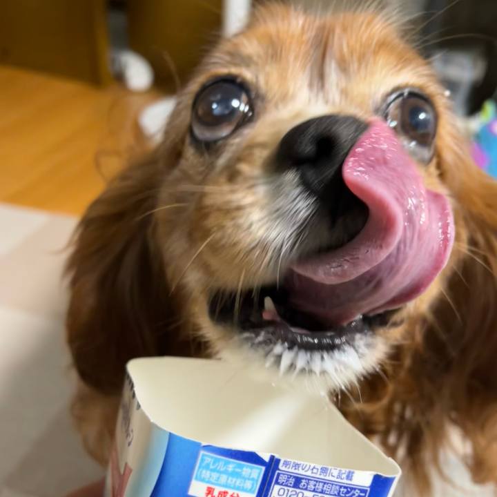 Aa0a783b 89fb 40f6 9435 9e248bc1dad5 1732833236493