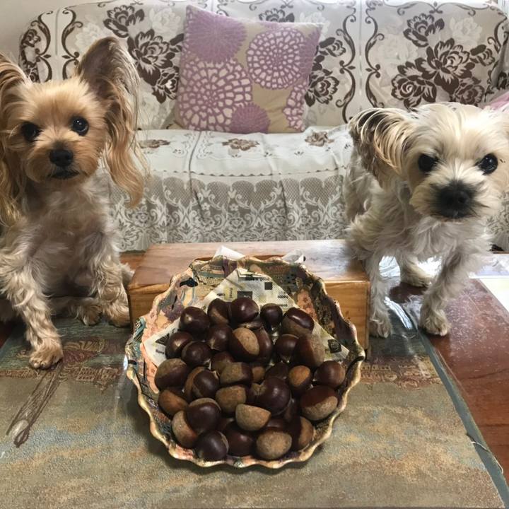 Aa0a8cfb 85d5 4ae4 bcc1 b08532c069e2 1570529549656