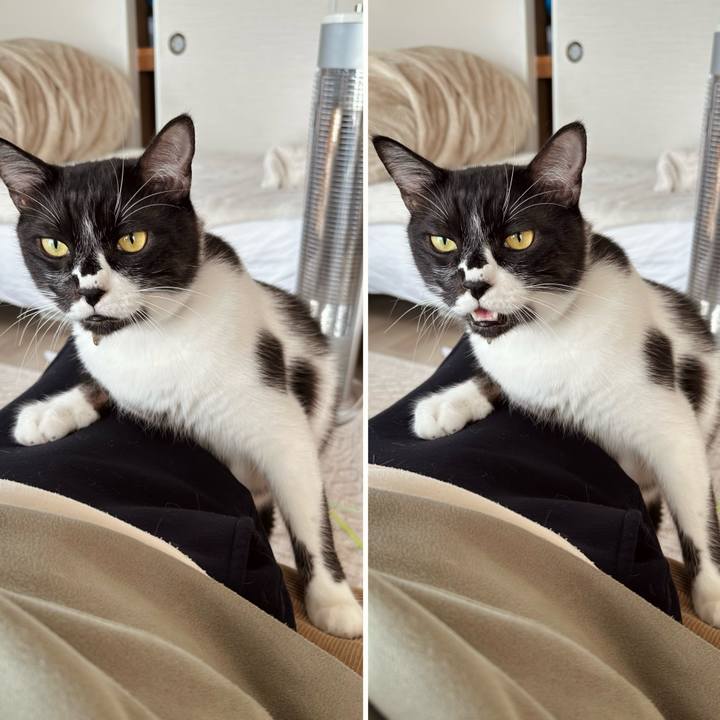 Aa0aa8a8 e1cc 40ce a1d1 a8646cab9cc9 1763950080405