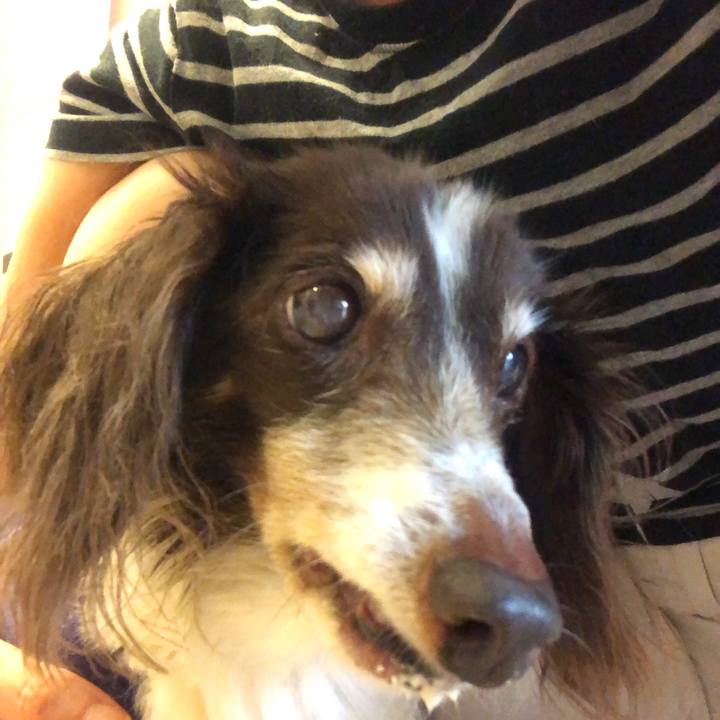 Aa0acbb2 ac0a 4828 89e8 72dfee73ebe9 1626388470159