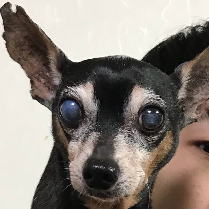 Aa0ad3f4 80e4 4fbf a708 f86a4c0d5e85 1548541993977