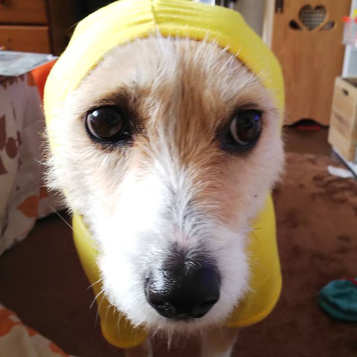 Aa0adc9f 446f 4a61 a6d9 437574a94db5 1548285968108