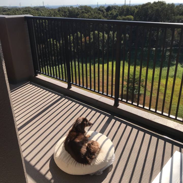 Aa0afb78 82b9 4bfd 8141 ffa331f5edca 1572830262066