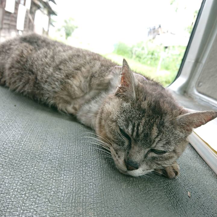 Aa0b0f37 b48e 4f5b 9e6d 92759fbb7760 1596267664018