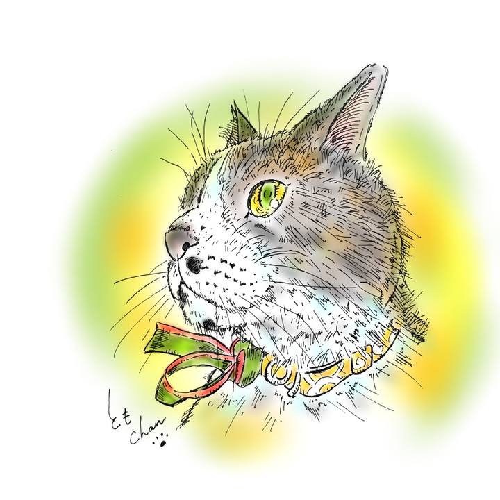 Aa0b4a01 59e5 45b0 bffe 8bc991cd008d 1582302679723