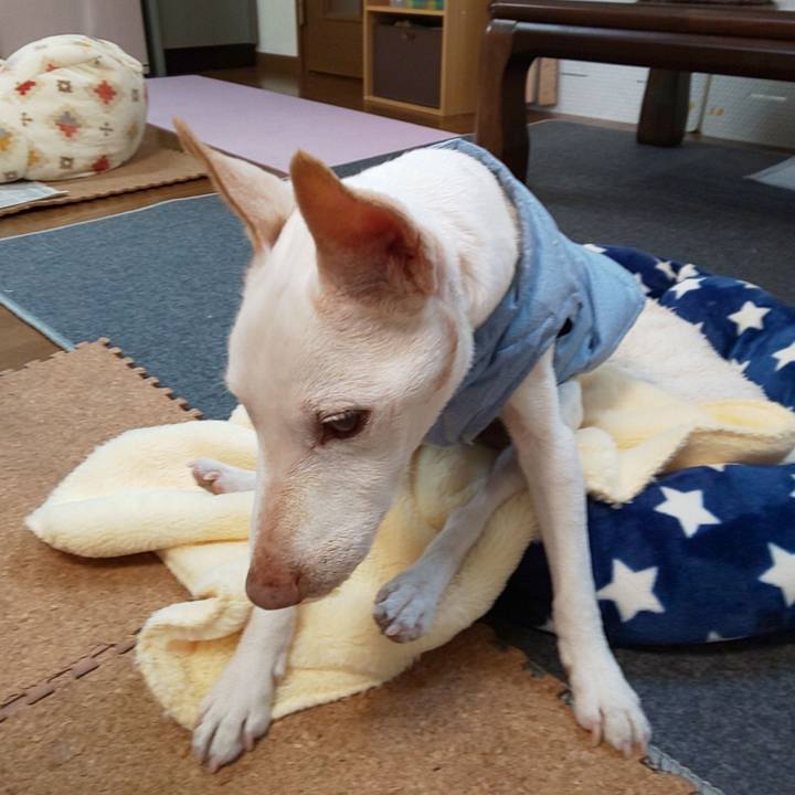 Aa0b9f5b 5e22 4980 9c7a 383777530078 1584835219714