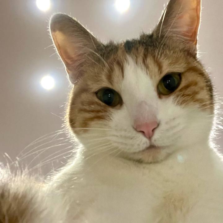 Aa0bb269 c977 4883 8672 99983e61c6d3 1701701184733
