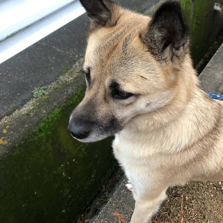 Aa0c25c6 4a8a 42c2 9b92 1a144fbad9e2 1576672194500