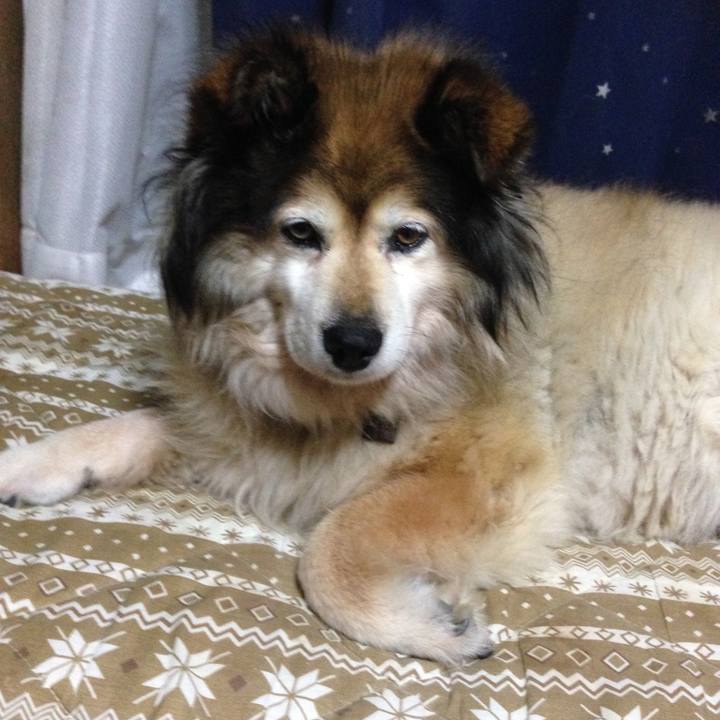 Aa0c47dc e6ac 47f5 a294 8060c6b11cab 1607606958600