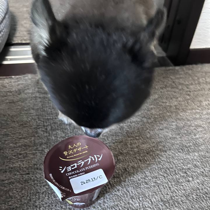 Aa0c56ad 60fa 486e 8019 706e5624b93f 1717511391477