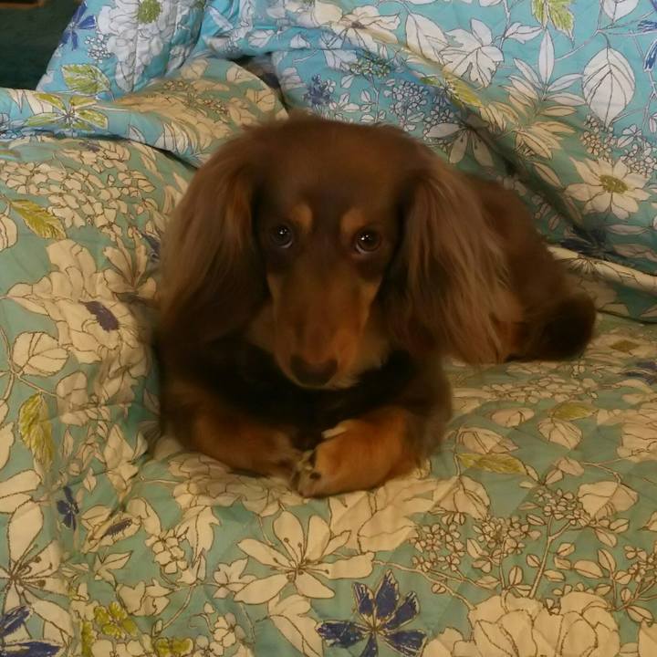 Aa0c5a0f f9d6 45fb 9d86 4e310292ebe1 1525312739652