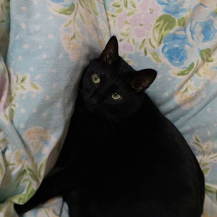 Aa0c98d4 4eff 44b4 86e1 448d8b2751c7 1648203627206