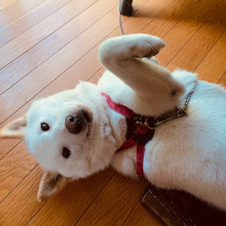 Aa0cdfa4 fb0a 437a 8a10 428d552e15da 1565297247641