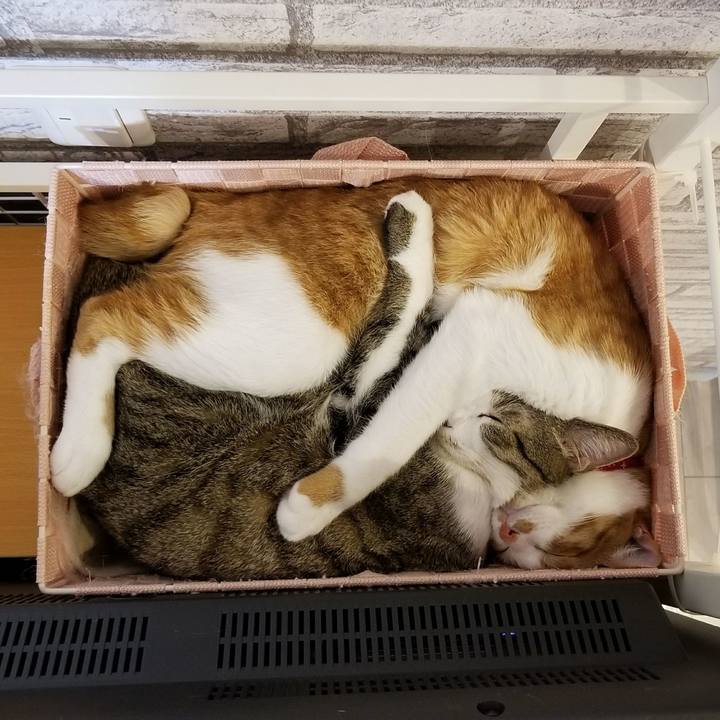 Aa0d09b0 e40b 4b27 8ef4 e8433816a5af 1521623901534