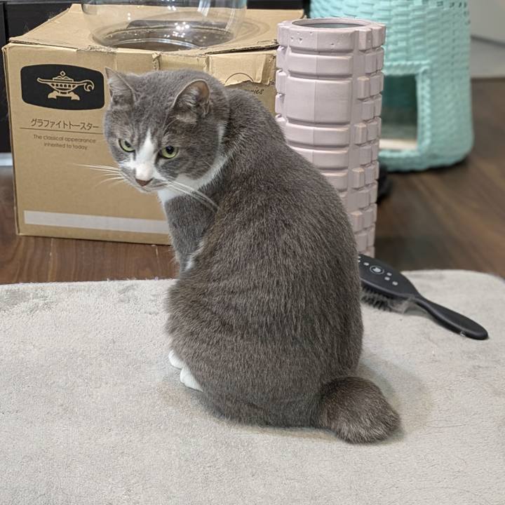 Aa0d114a cde2 4cb8 ad21 4a4c05b5f3b2 1748577011535