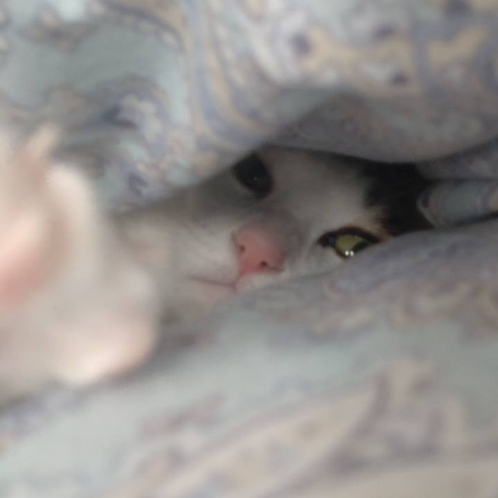 Aa0d431a bf90 45a4 868e 2e8bc65d9ef4 1710644294702