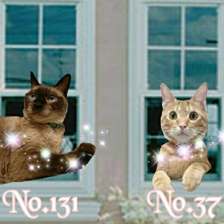 Aa0d4b31 a75f 4bb6 b294 b78fe588dfaf 1532012929185