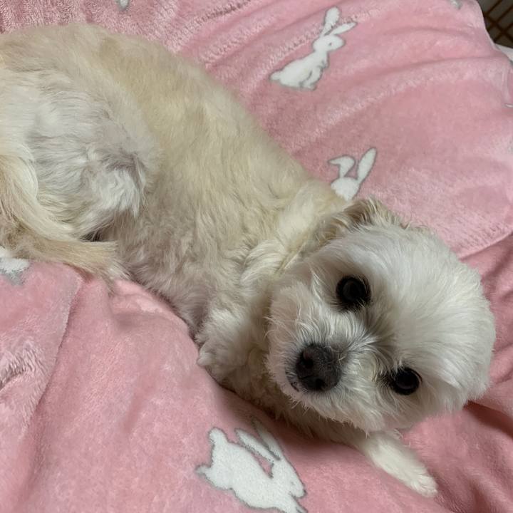 Aa0d5ee7 6a98 446c 9fd0 32f4b9871610 1616929243387