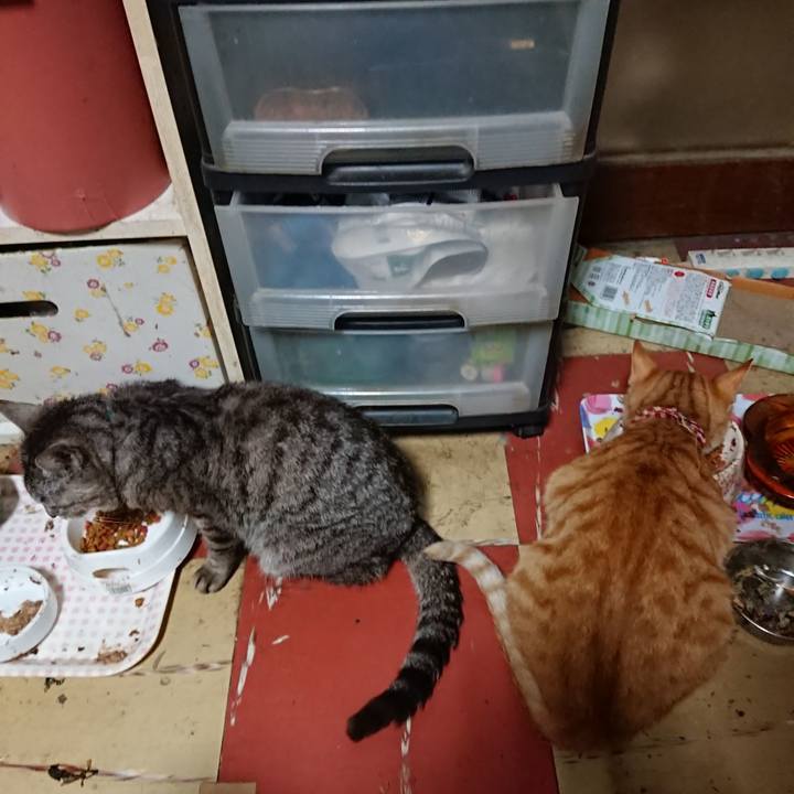 Aa0d6d21 36b1 49dc a9a4 04c17722af2d 1562270662204