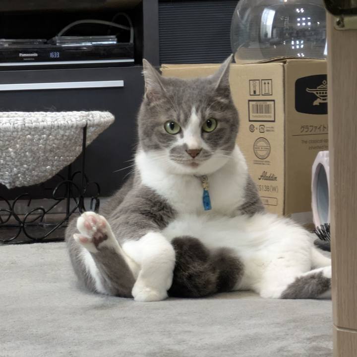 Aa0dbd2c a1f4 4e11 8706 c19bc138f8bb 1750059272833