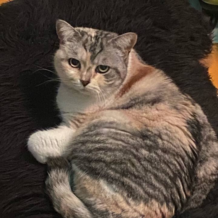 Aa0dc05e 3703 47f0 afd9 63700d2b458c 1651179956873