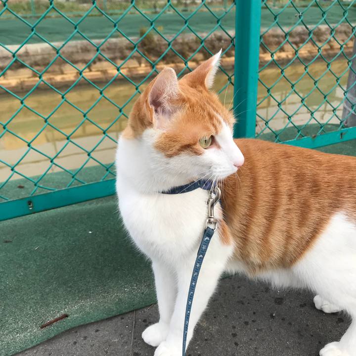 Aa0de307 f14c 478e a20f e7acff1a3a04 1513652602413