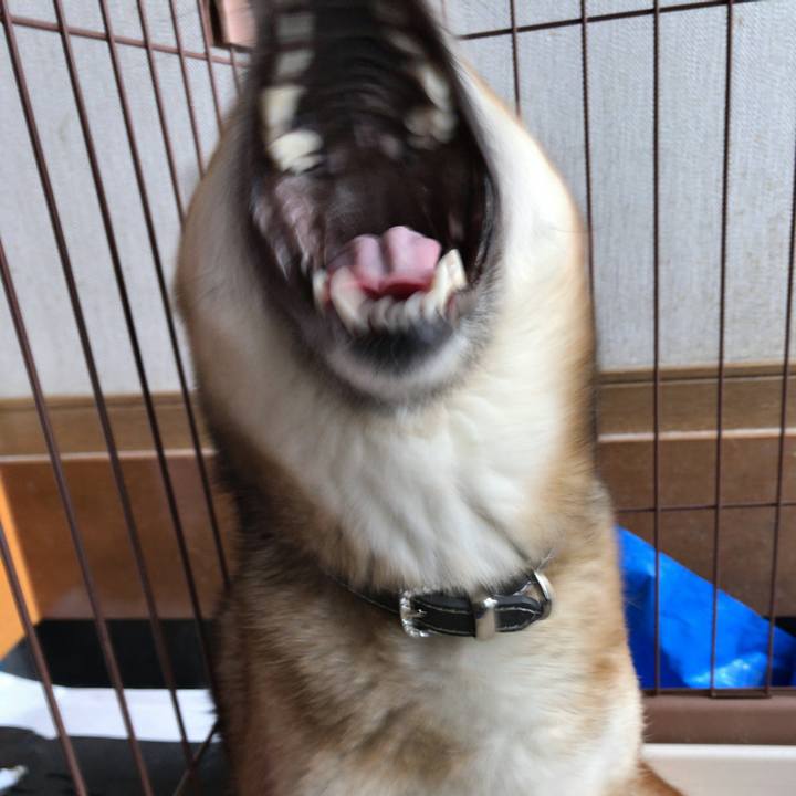 Aa0de85c 3d0a 470b af79 d6b5cf11c1f7 1525128254621