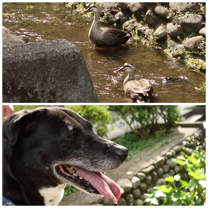 Aa0e3672 0b8c 46aa b3bf c2a51b6098c6 1718585169492