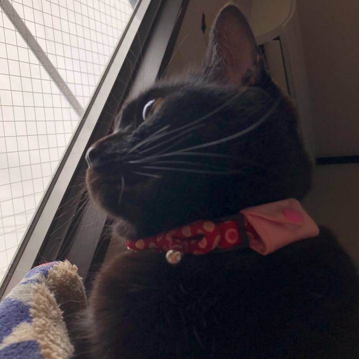 Aa0e4e03 aab2 40a8 84fb 3dff470c2c8e 1630621846231