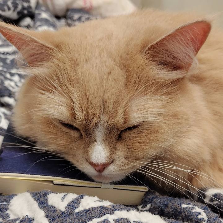 Aa0e5420 f69e 40c4 bdf1 d7577339d6bc 1745119839971