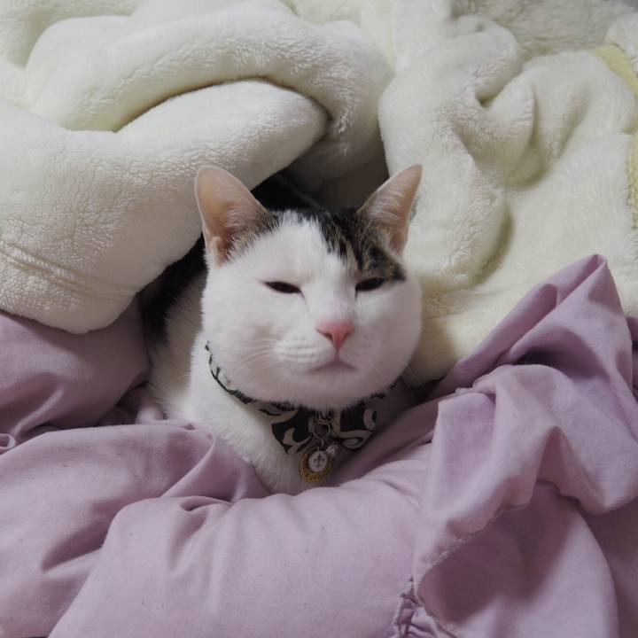 Aa0e7e79 b34e 4d18 882e bd6031a3b57f 1515621434339