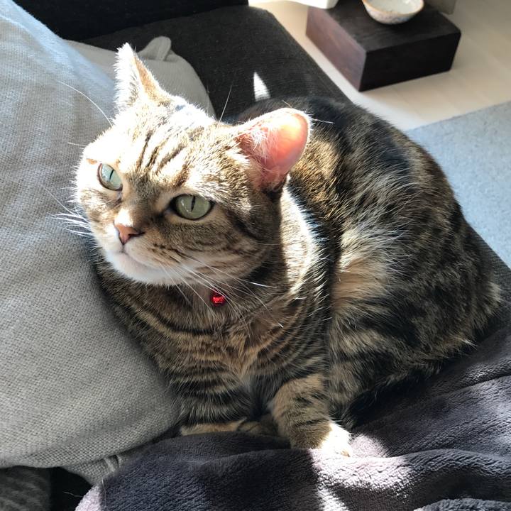 Aa0e9769 2c5d 4b45 bde5 ba092ba917ff 1519612775962