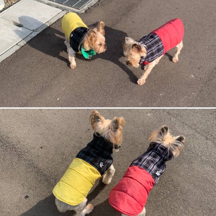 Aa0ed236 f42f 44c8 805d 6e379f134285 1669197194836