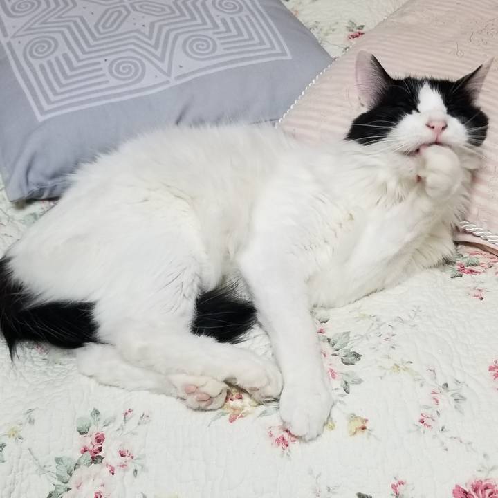 Aa0f2003 5e65 4e68 9b2f 017afff22bfb 1557698900948