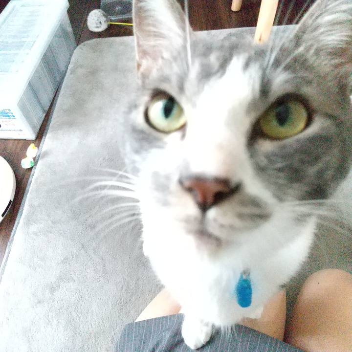 Aa0f2b3c e95d 47dc 9139 fd7d260a0628 1596593977230