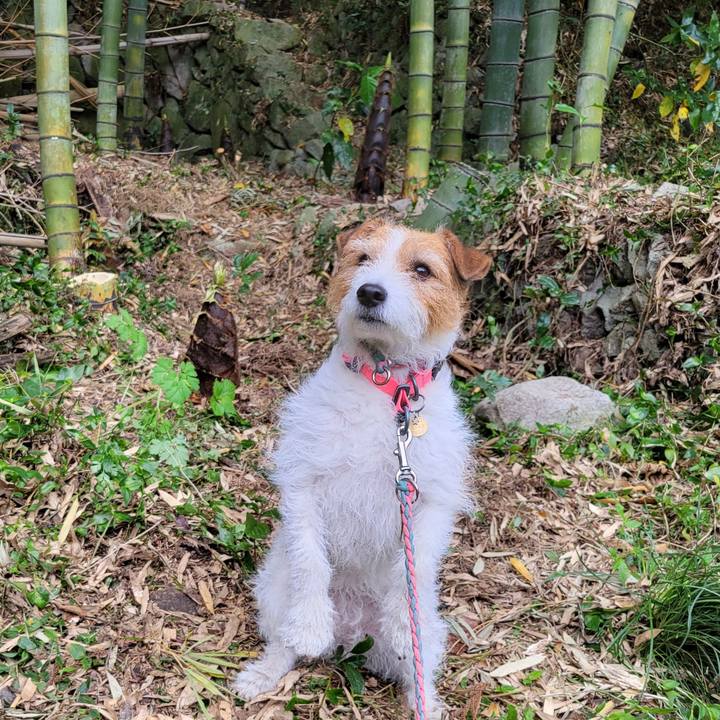 Aa0f3a77 d38c 4efe 86b5 cbe93082ea6e 1682217557146